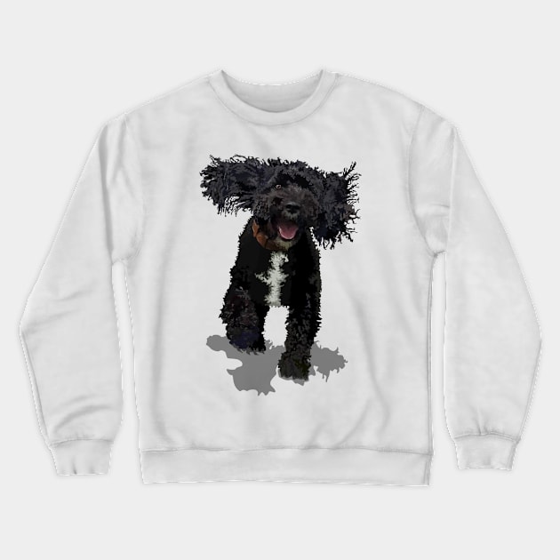 Cockapoo Crewneck Sweatshirt by M[ ]